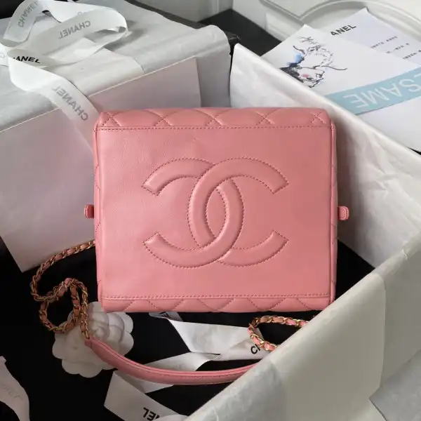 CHANEL  BAG WITH TOP HANDLE