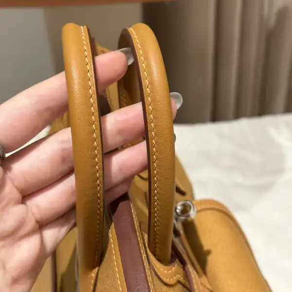 HERMES Cargo Birkin Bag Canvas and Swift 25