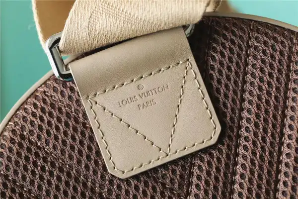 Affordable LOUIS VUITTON Pilot Slingbag