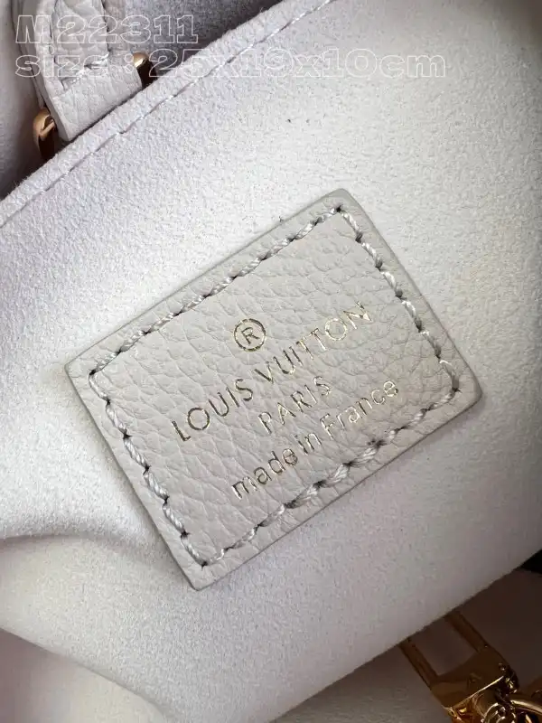 LOUIS VUITTON Lock & Go