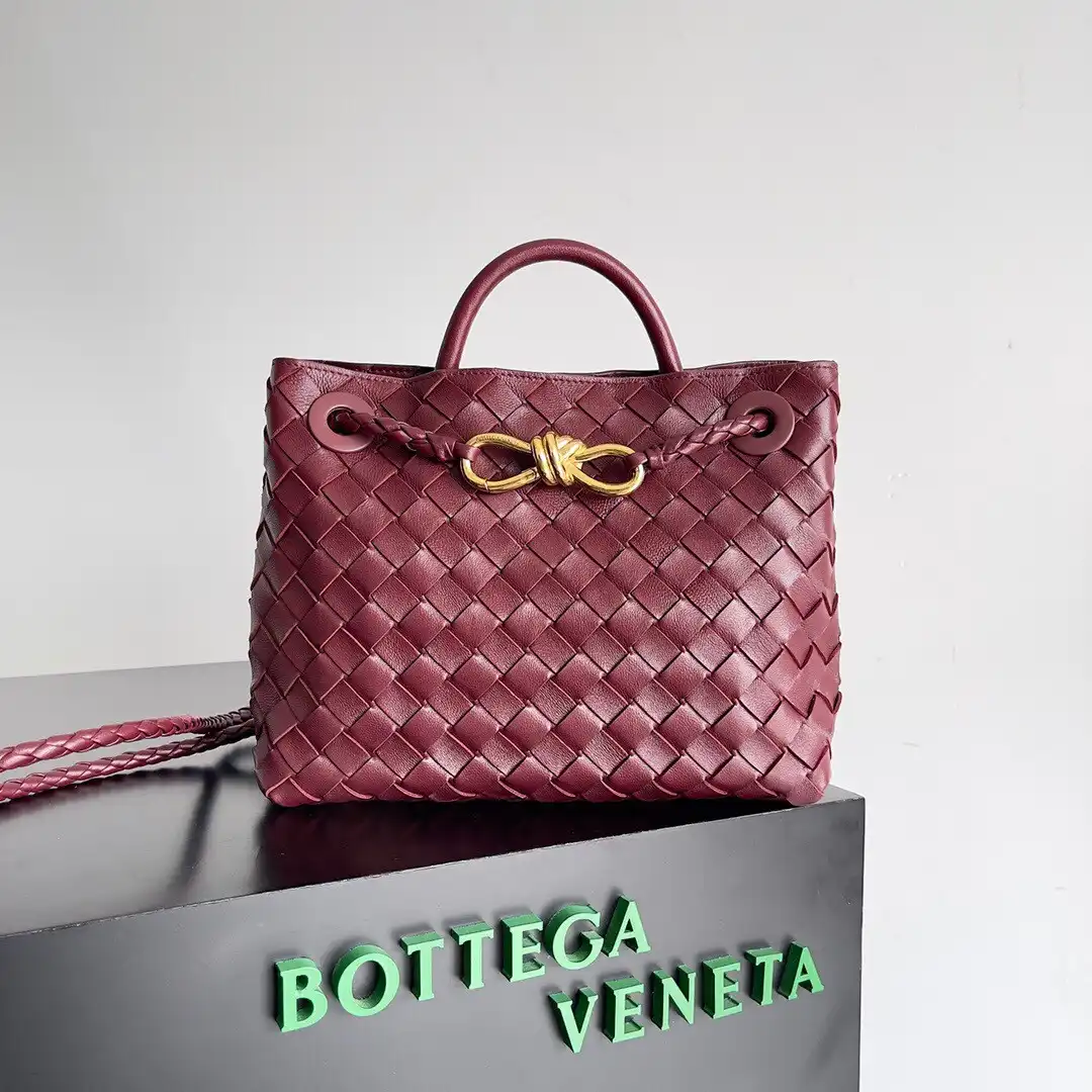 BOTTEGA VENETA SMALL ANDIAMO-25*22*10.5cm