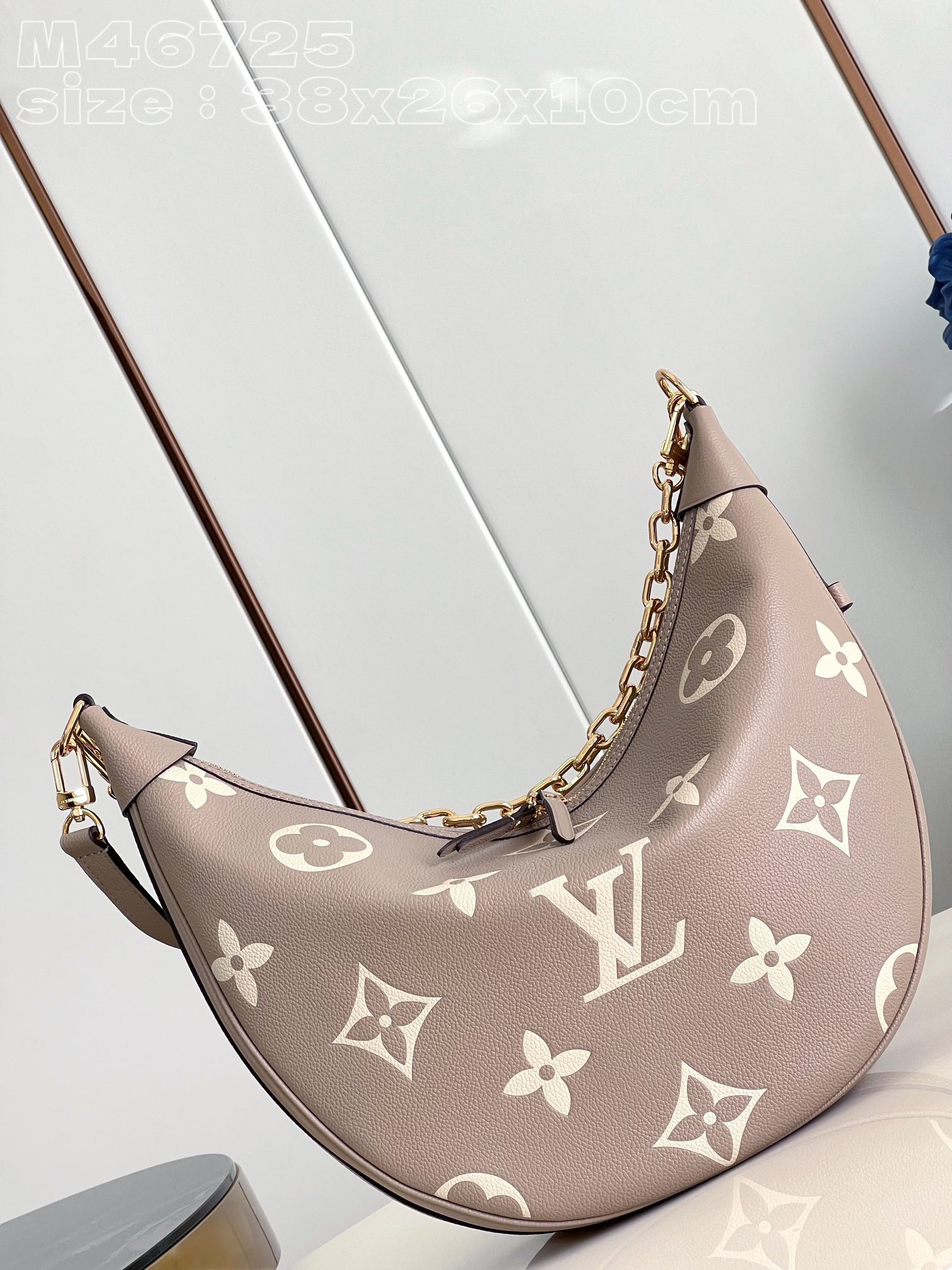 LOUIS VUITTON LOOP HOBO