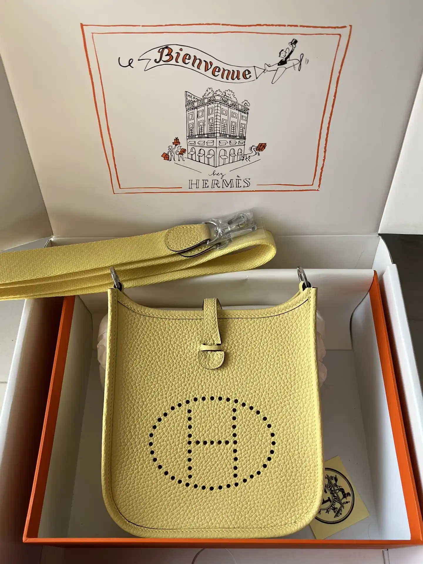 Hermes Mini Evelyne