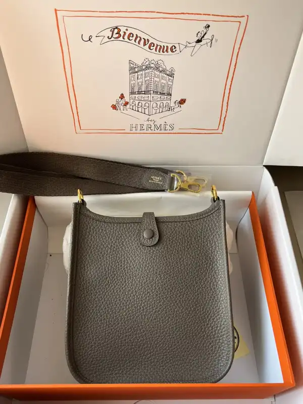 Hermes Mini Evelyne