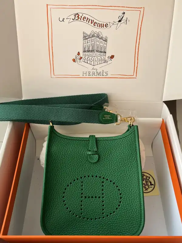 Hermes Mini Evelyne