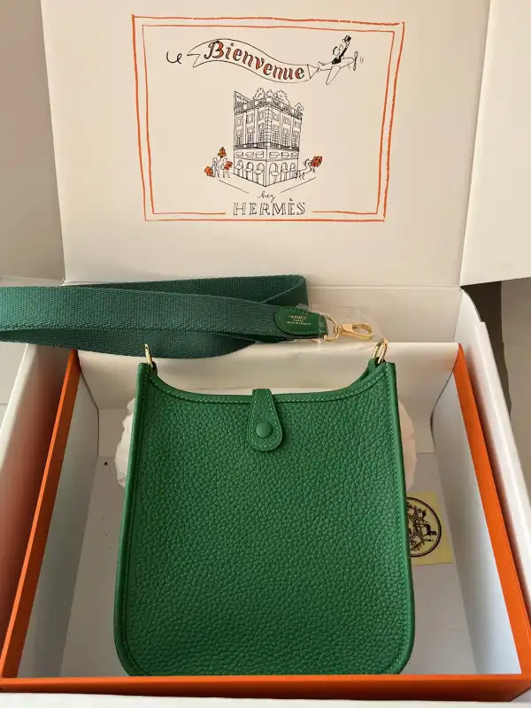 Hermes Mini Evelyne