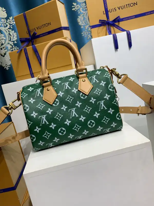 First bag ru Louis Vuitton SPEEDY 25