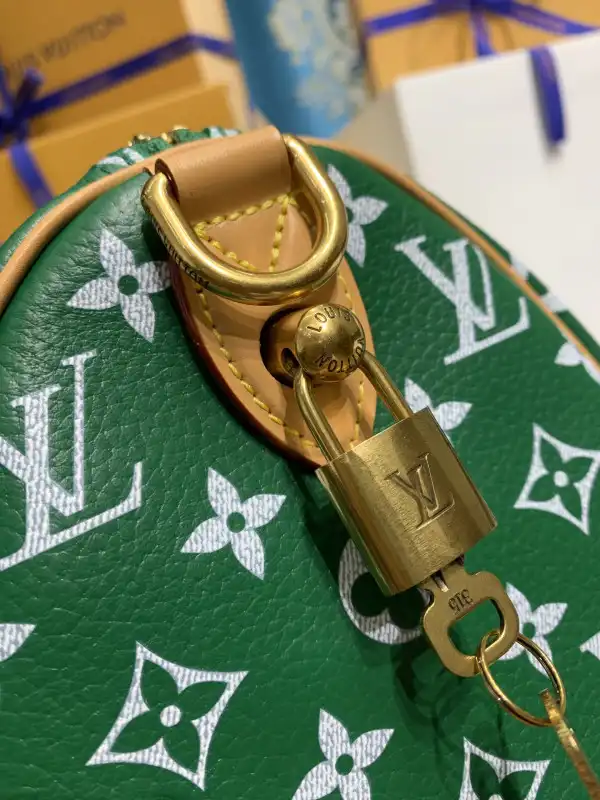 Louis Vuitton SPEEDY 25