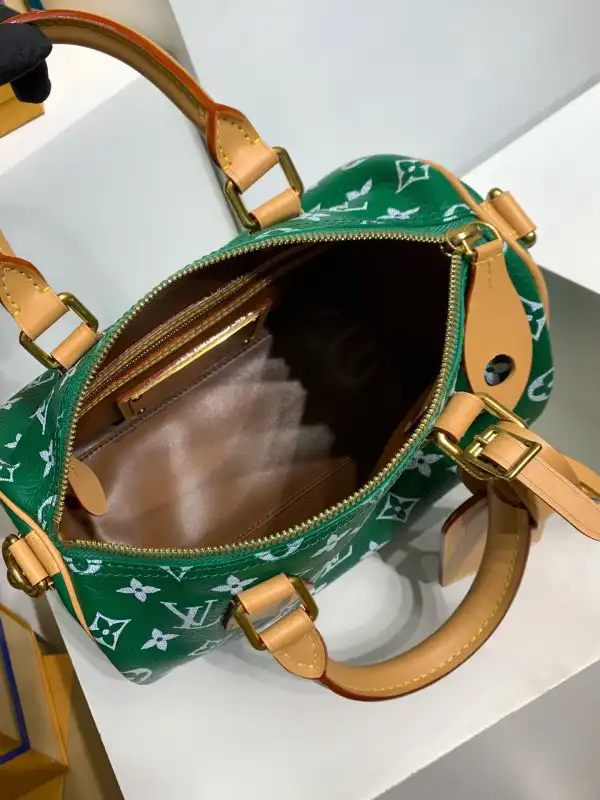 Louis Vuitton SPEEDY 25