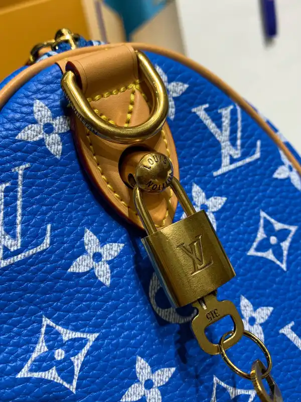 How to buy Cheap Louis Vuitton SPEEDY 25