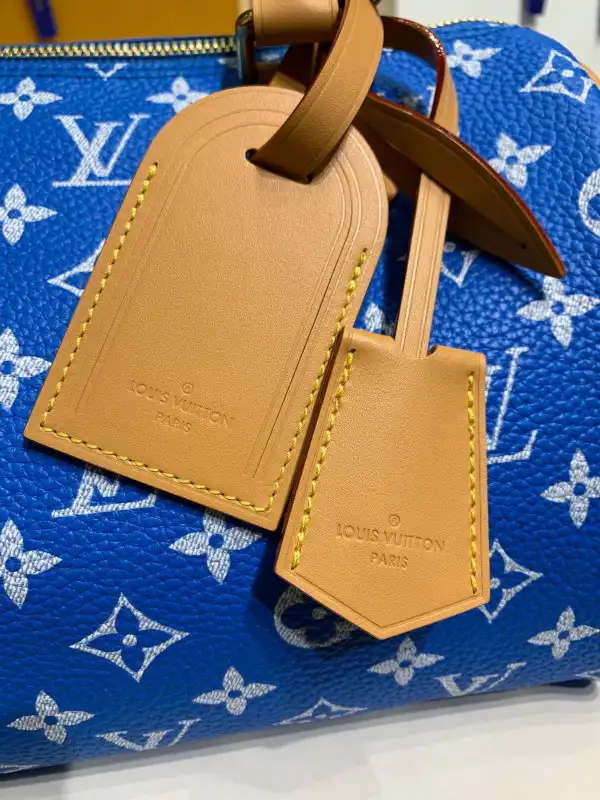 Louis Vuitton SPEEDY 25