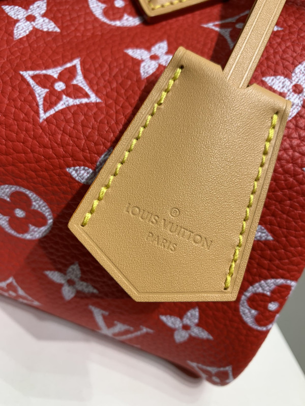 HOT SALE LOUIS VUITTON  Speedy P9 Bandoulière 25