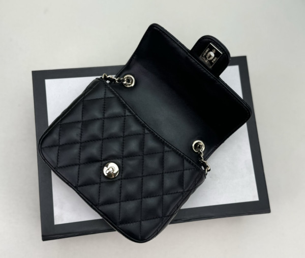 [FREE SHIPPING] CL MINI FLAP BAG