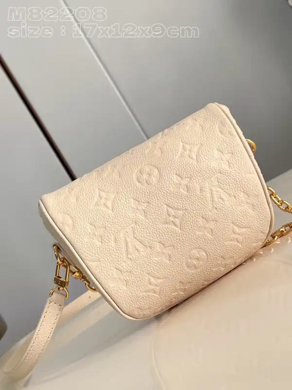 Affordable LOUIS VUITTON MINI BUMBAG-17-12-9.5CM