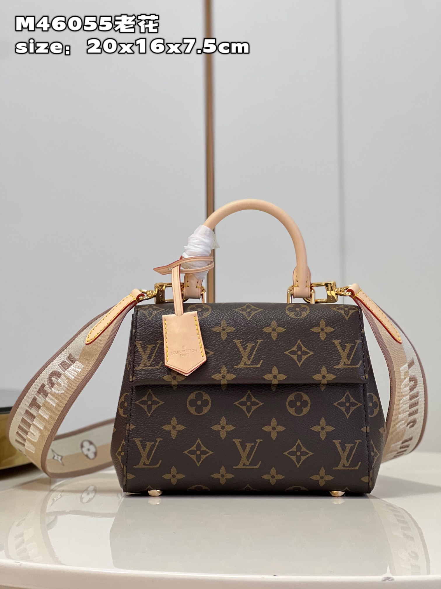 HOT SALE LOUIS VUITTON CLUNY BB