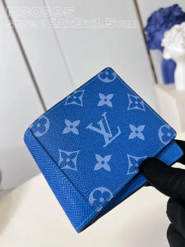 LOUIS VUITTON MULTIPLE WALLET-11.5-9-1.5cm