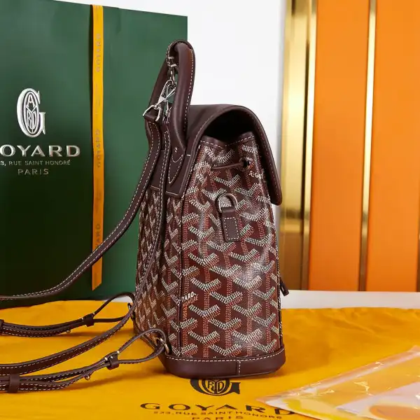 First bag ru GOYARD Alpin Mini Backpack