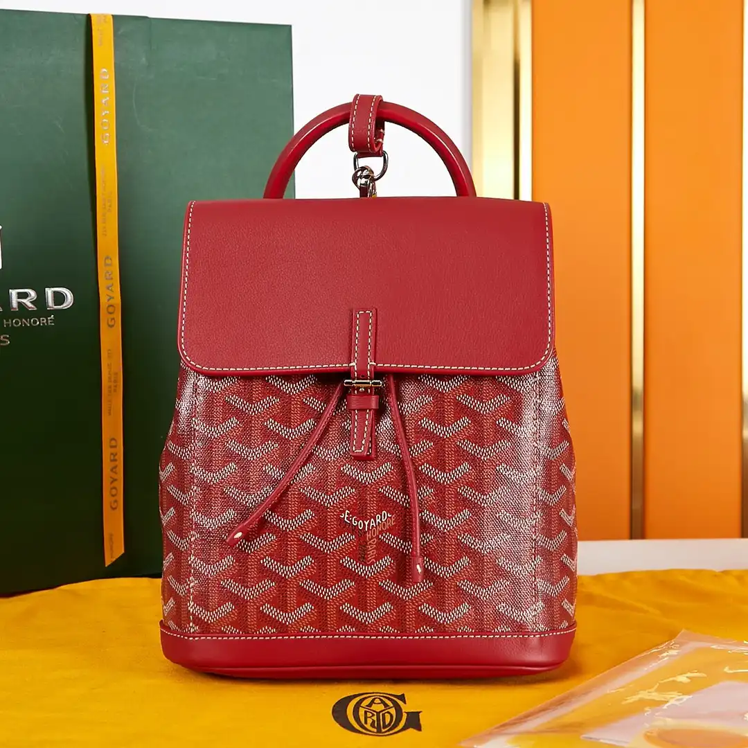 GOYARD Alpin Mini Backpack