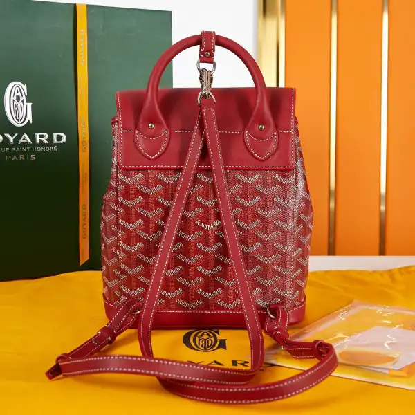 First bag ru GOYARD Alpin Mini Backpack