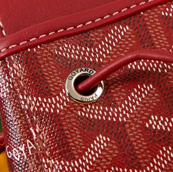 First bag ru GOYARD Alpin Mini Backpack