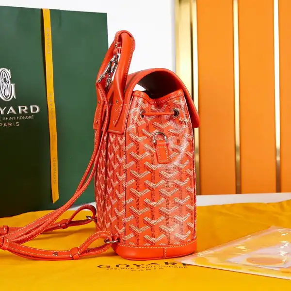 Yupoo bagsoffer GOYARD Alpin Mini Backpack