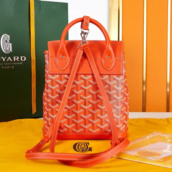 GOYARD Alpin Mini Backpack