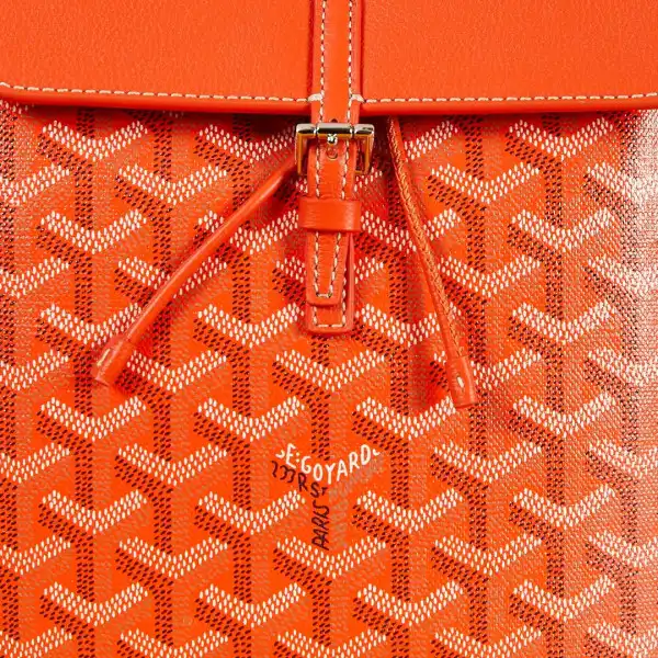 Frstbag ru GOYARD Alpin Mini Backpack