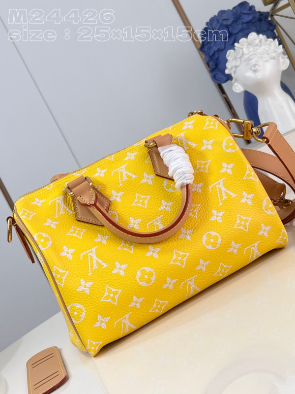 HOT SALE Louis Vuitton SPEEDY 25