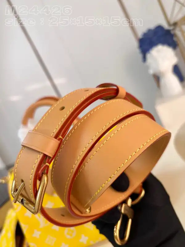 Louis Vuitton SPEEDY 25