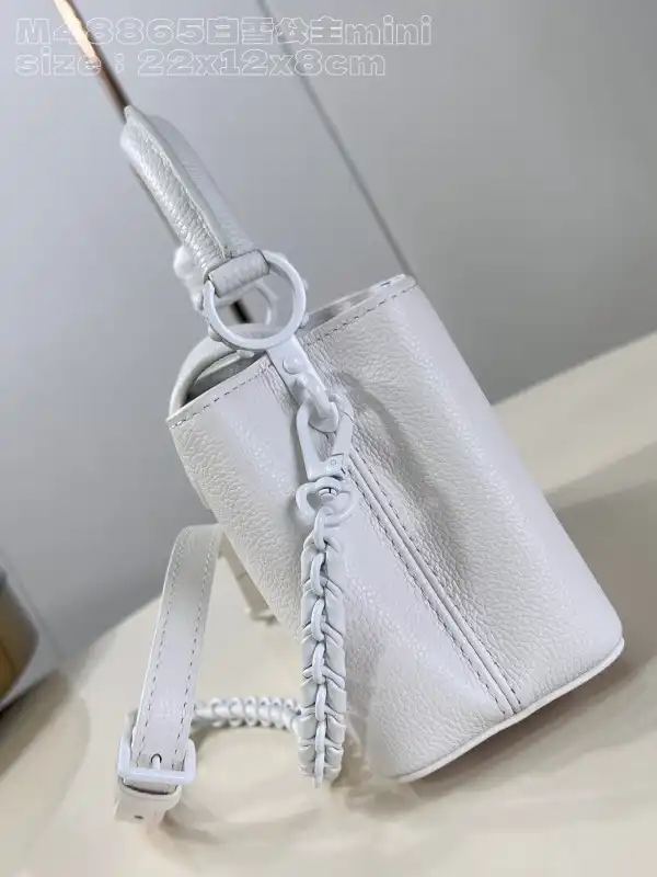 Frstbag ru LOUIS VUITTON CAPUCINES MINI-22*12*8CM