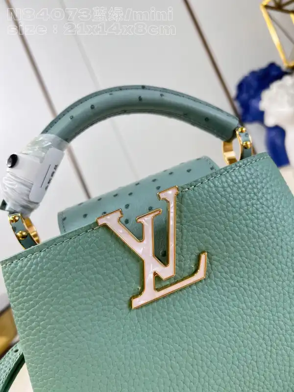 Cheap LOUIS VUITTON CAPUCINES MINI-22*12*8CM