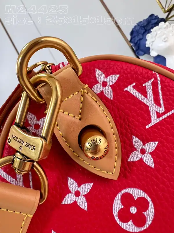 First bag ru Louis Vuitton SPEEDY 25