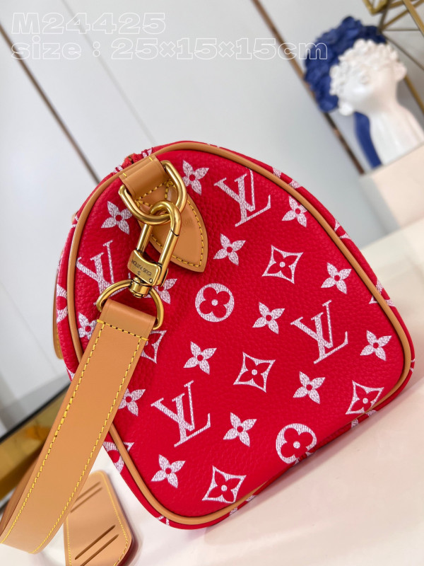 [FREE SHIPPING] Louis Vuitton SPEEDY 25