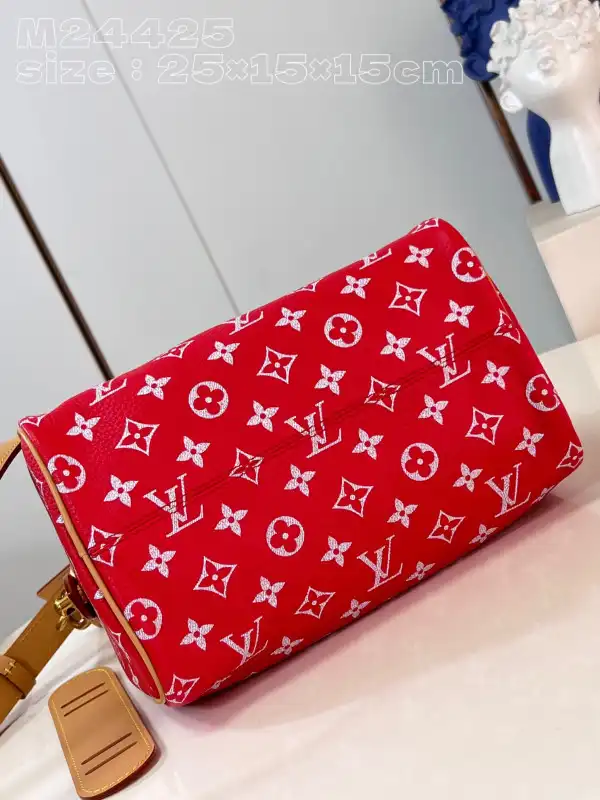 First bag ru Louis Vuitton SPEEDY 25