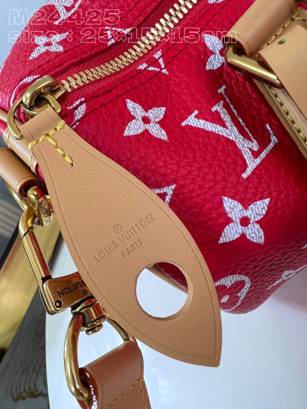 [FREE SHIPPING] Louis Vuitton SPEEDY 25