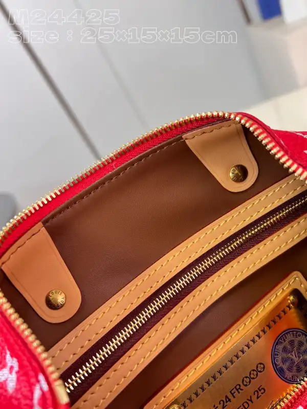 Louis Vuitton SPEEDY 25