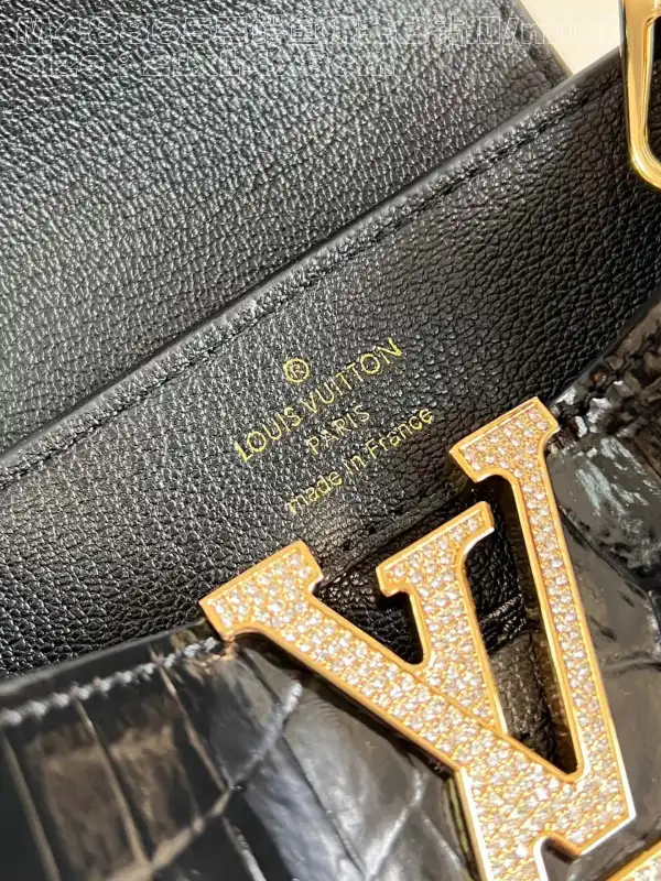 Affordable LOUIS VUITTON CAPUCINES MINI-21*14*8CM