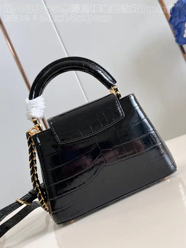 Affordable LOUIS VUITTON CAPUCINES MINI-21*14*8CM