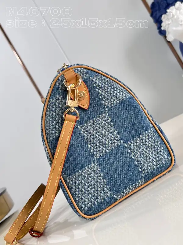 Louis Vuitton SPEEDY 25