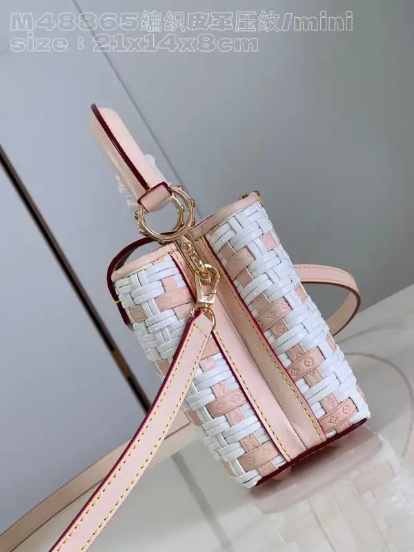 Affordable LOUIS VUITTON CAPUCINES MINI-21*14*8CM