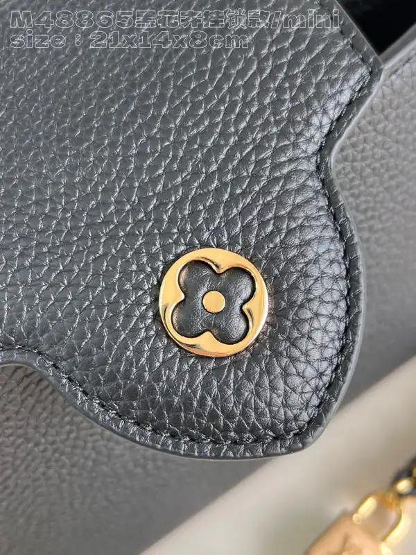 LOUIS VUITTON CAPUCINES MINI-21*14*8CM