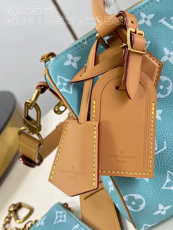 Louis Vuitton SPEEDY 25