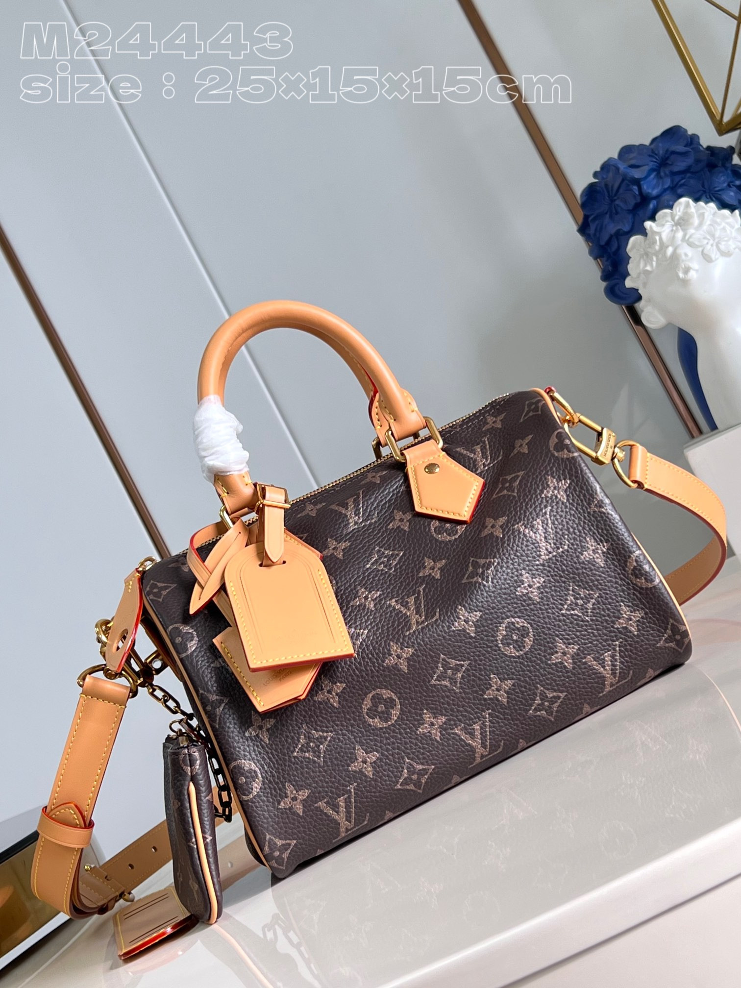 HOT SALE Louis Vuitton SPEEDY 25