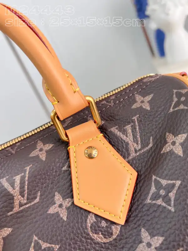 Eliminating the middleman and passing on savings to you. With massive production and tax-free benefits Louis Vuitton SPEEDY 25