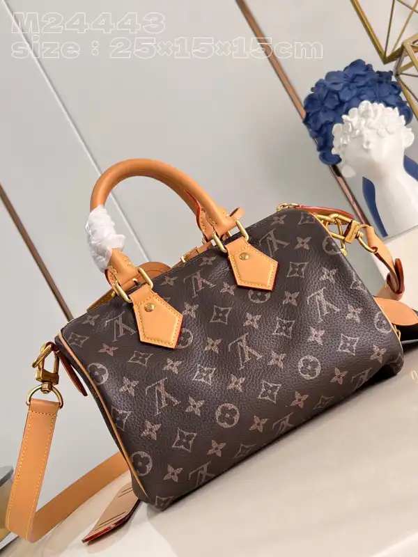 Eliminating the middleman and passing on savings to you. With massive production and tax-free benefits Louis Vuitton SPEEDY 25