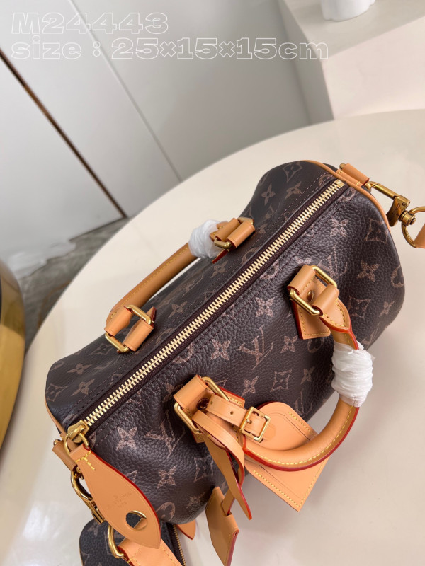 HOT SALE Louis Vuitton SPEEDY 25