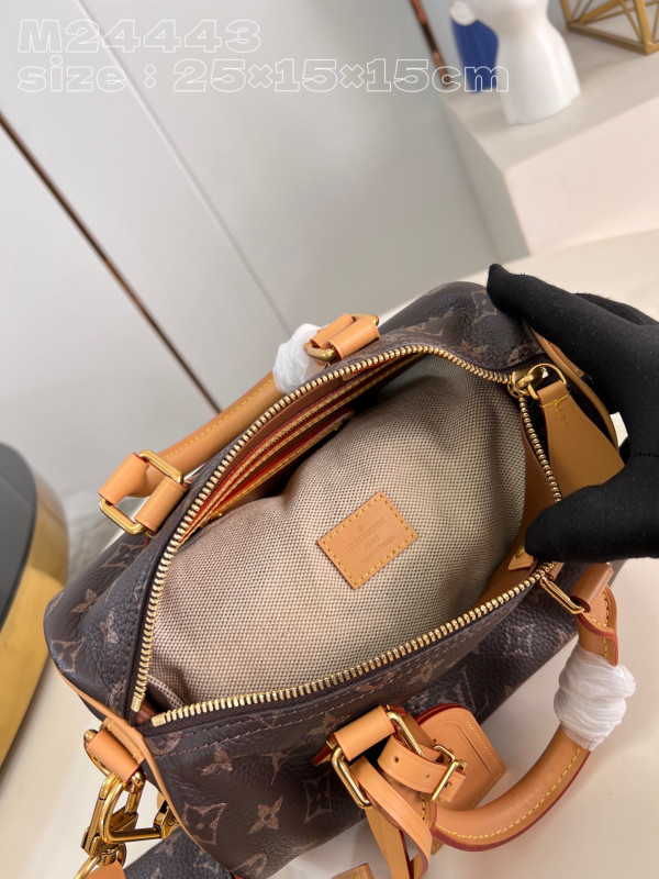 HOT SALE Louis Vuitton SPEEDY 25