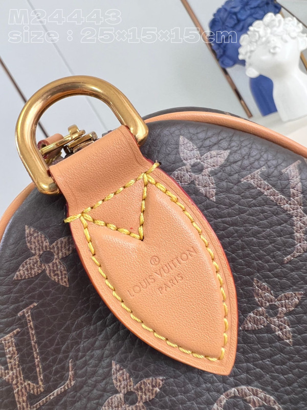 HOT SALE Louis Vuitton SPEEDY 25