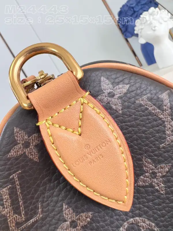 Eliminating the middleman and passing on savings to you. With massive production and tax-free benefits Louis Vuitton SPEEDY 25