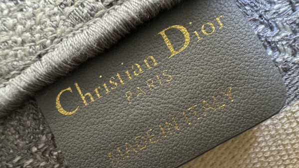 HOT SALE dior MINI BOOK TOTE-21.5*13*7.5CM